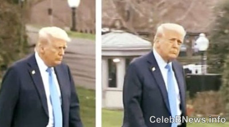Trump Marine One photo